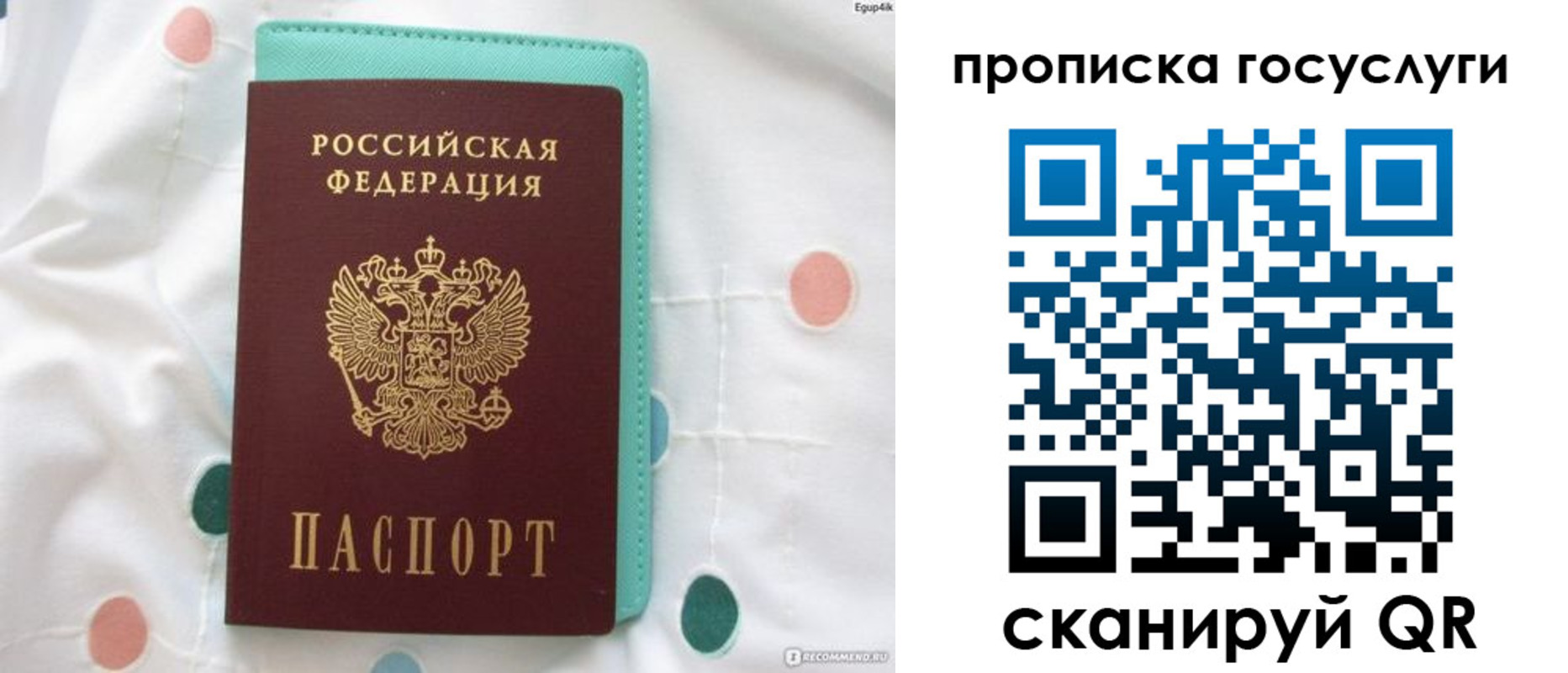 прописка поиск в Брянской области